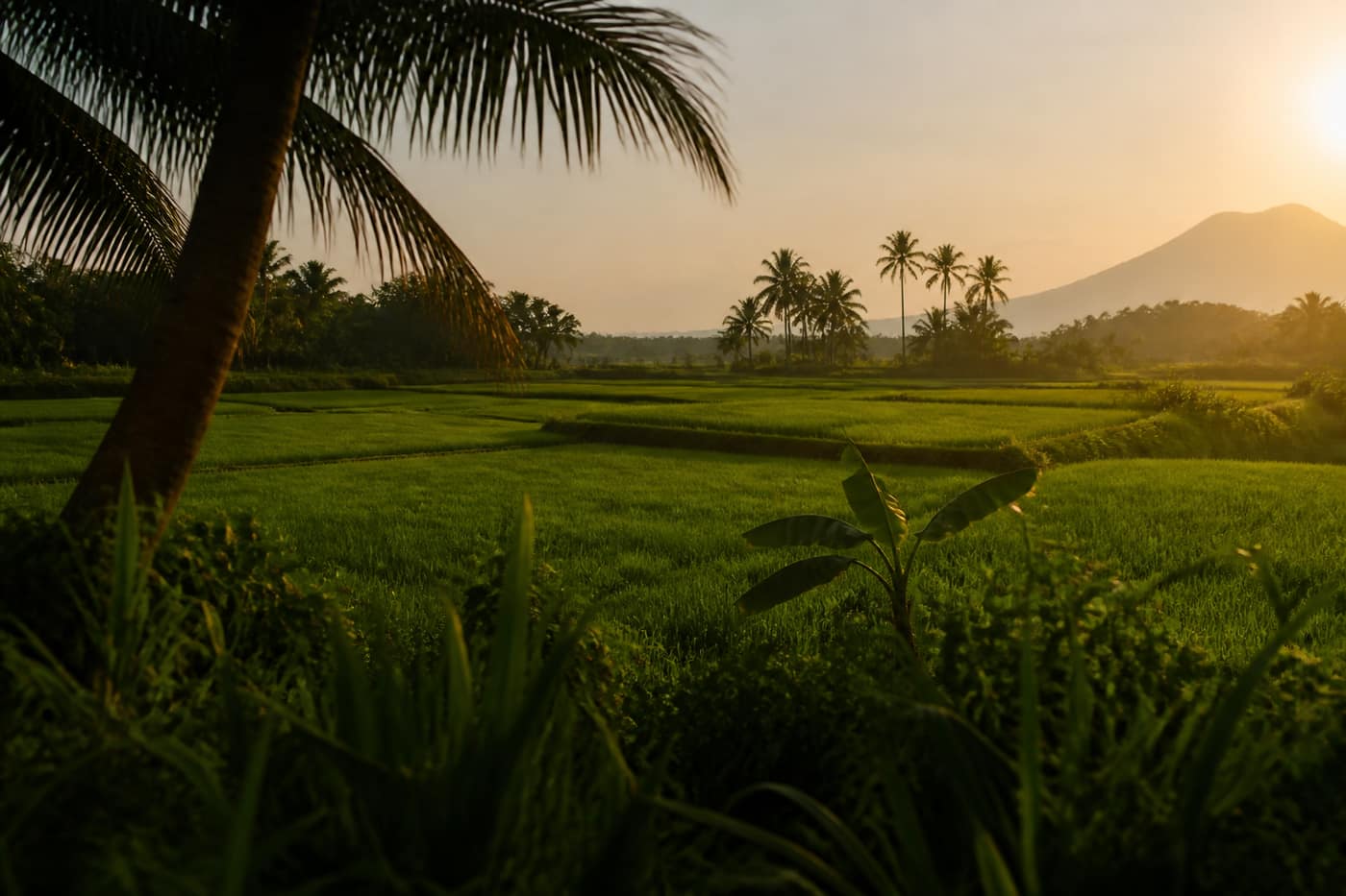 Capital for Nigeria’s farms
